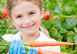 Child Nutrition