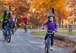 Physical Activity