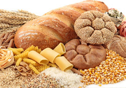 Understanding Food