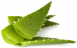 Aloe vera face pack for all skin type