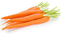 Carrot Pack