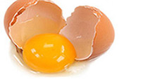 Egg Pack